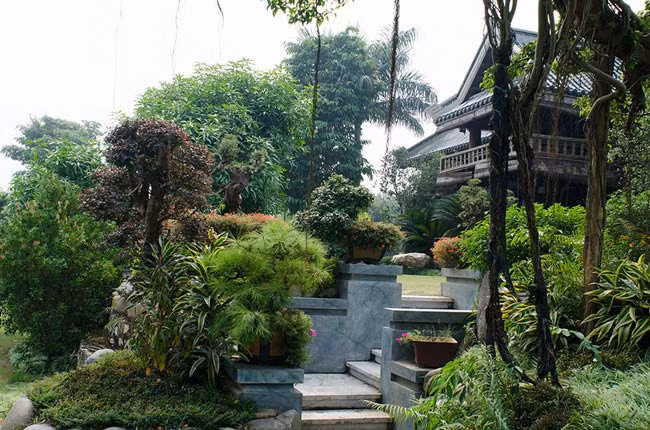 Rất nhiều cây cảnh trang trí đẹp mắt. Ảnh: Doisongphapluat.