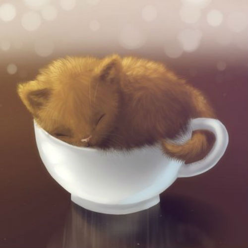  Mèo con đang mơ những giấc mơ đẹp.