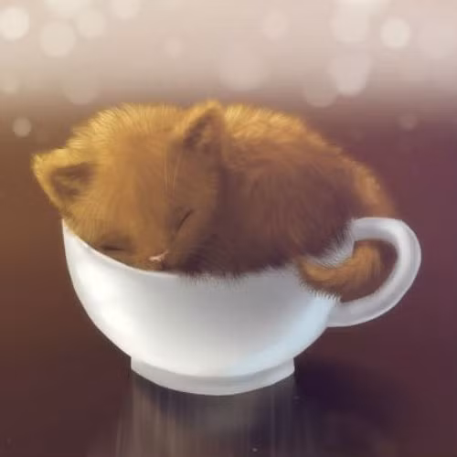  Mèo con đang mơ những giấc mơ đẹp.