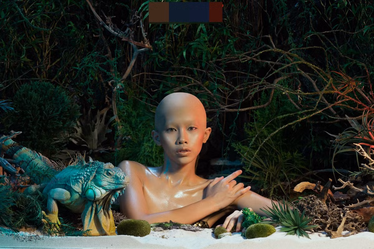 Sau một khoảng thời gian hoang mang, sợ hãi, các thí sinh đã nhanh chóng làm quen và bình tĩnh tạo hình được bức ảnh đẹp nhất với các loài vật hoang dã đặc biệt này.