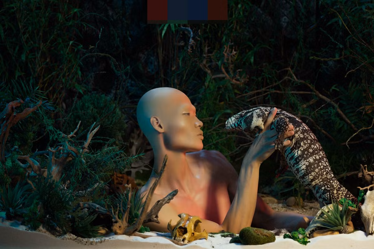 Những vị “khách mời” vô cùng đặc biệt này là rồng Nam Mỹ Iguana, thằn lằn Tegu, tắc kè hoa, thằn lằn da báo, nhện, rắn, ếch Pacman.