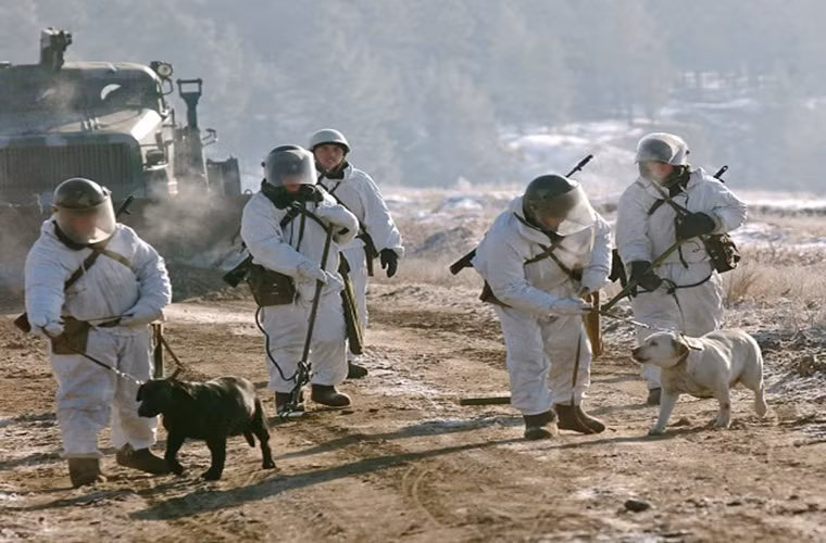 Đối với mỗi lính Công binh Nga những chú chó nghiệp vụ không chỉ là đồng nghiệp mà còn là một người bạn.