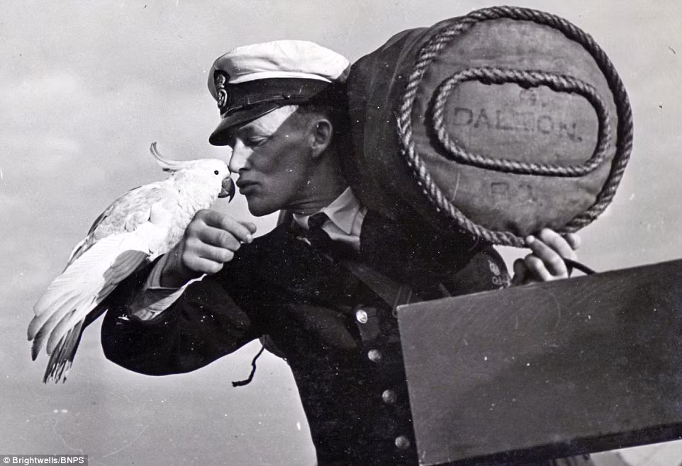 Người lính Hải quân Anh hôn chú vẹt cưng của mình khi cập cảng ở Sydney, Úc (Nguồn: Brightwells).