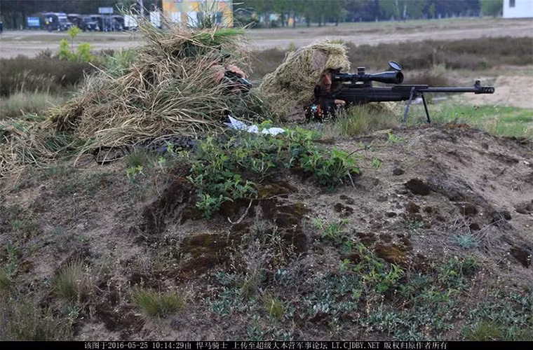 Sau khi Chiến tranh Lạnh kết thúc đến tận năm 2001 Albania mới bắt đầu thành lập các binh chủng riêng lẻ như lục quân, không quân, hải quân và lực lượng tác chiến đặc biệt.