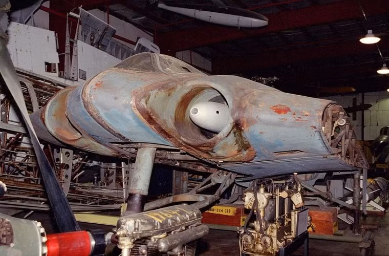 Ho 229 cũng được phát triển thành nhiều biến thể khác nhau, đa số là biến thể một chỗ ngồi, nguyên mẫu được thử nghiệm nhiều nhất là Ho 229A (V3) đây cũng là nguyên mẫu Northrop Grumman nghiên cứu trong quá trình phát triển B-2. Nó có sải cánh dài gần 16.8m và có trọng lượng cất cánh tối đa là 8.1 tấn.