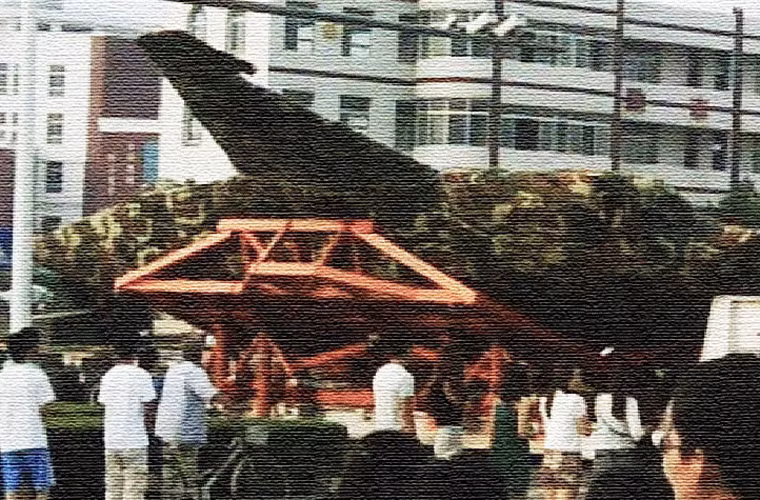 J-31 có sải cánh tương tự như F-35 vào khoảng 11.5 m, điều này khiến nó có vóc dáng nhỏ hơn đàn anh J-20 và cả F-22 của Mỹ .