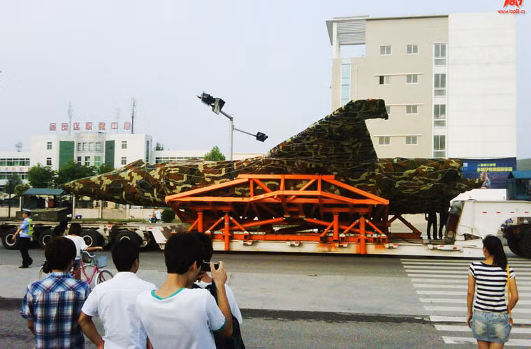 Loại tiêm kích này có thể đạt vận tốc tối đa là 2.205km/h, mang phần chiến đấu (vũ khí, đạn được) nặng khoảng 8 tấn bởi J-31 được trang bị động cơ đôi mạnh mẽ. Tuổi thọ tối đa của J-31 là 30 năm và J-31 được bay thử lần đầu vào năm 2012.