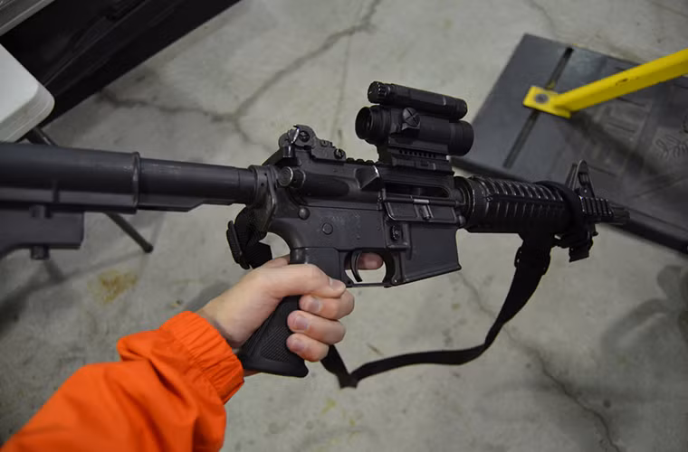 Colt Canada C8 cũng được phát triển thành nhiều biến thể khác nhau nhất là dành cho các đơn vị tác chiến đặc biệt. Súng có chiều dài tiêu chuẩn 840mm nặng tối đa 2.81kg với sơ tốc đầu đạn 900m/s. Nó sử dụng đạn tiêu chuẩn 5.56×45mm của NATO có tốc độ bắn tối đa từ 750-950 viên/phút với tầm bắn hiệu quả là 400m.