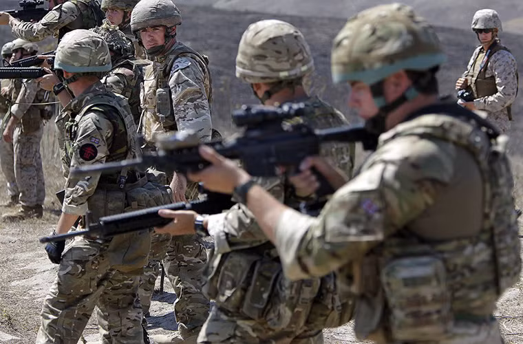 Việc Hải quân Hoàng gia Anh lựa chọn súng carbine Colt Canada C8 để trang bị cho các đơn vị Commando của mình xuất phát từ nhiều nguyên nhân khác nhau. Nhưng nhìn chung C8 là một lựa chọn không hề tồi khi cả C8 lẫn L85A2 đều sử dụng chung một cỡ đạn 5,56mm của NATO và Hải quân Hoàng gia Anh đã quen dần với việc sử dụng loại súng này.