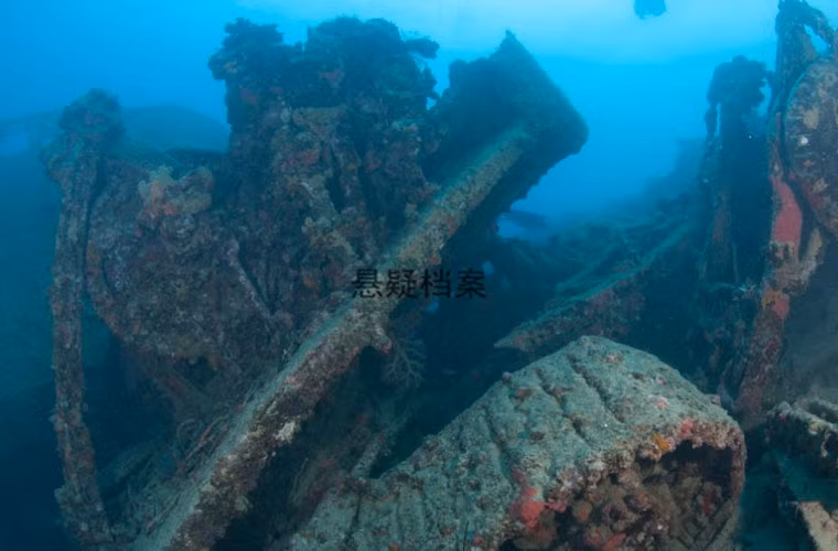 Những vũ khí trang bị này bao gồm xe ủi, xe jeep, xe tải, xe kéo. Thời điểm đó, Quân đội Mỹ sẵn sàng cung cấp lại cho chính quyền ở Vanuatu nhưng không đạt được thỏa thuận cần thiết.