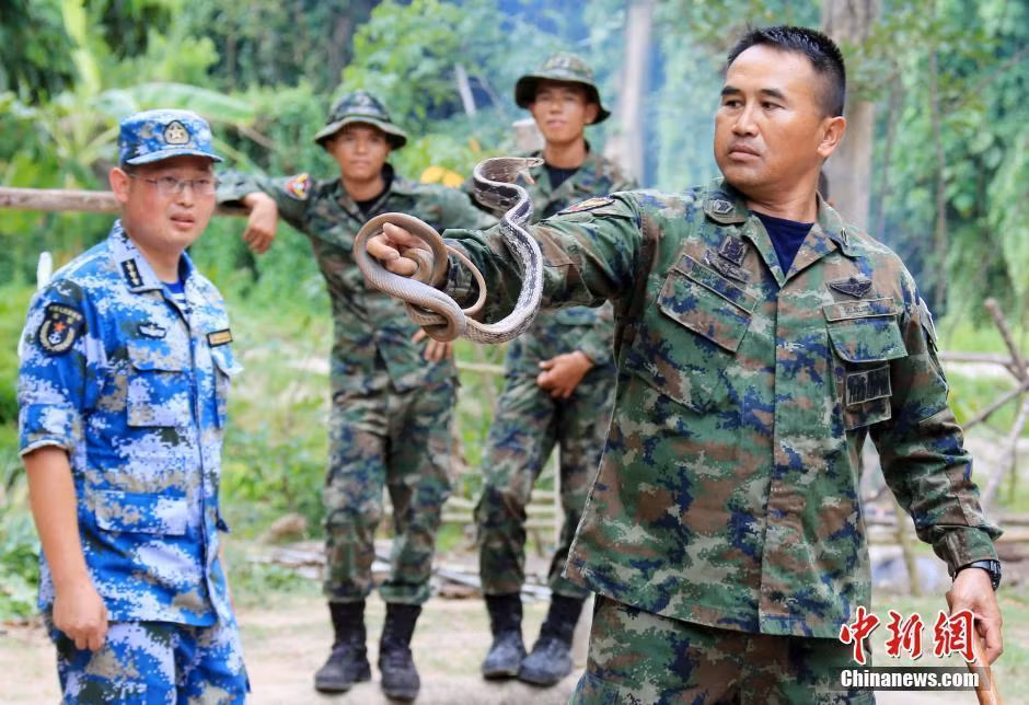 “Blue Strike 2016” được chia ra làm 4 giai đoạn, bao gồm nhiều nội dung trao đổi huấn luyện giữa lực lượng thủy quân lục chiến hai nước nhằm nâng cao các hoạt động tác chiến, thích nghi sinh tồn của binh sĩ trong các môi trường nguy hiểm như khu vực rừng rậm nhiệt đợi. Ảnh huấn luyện viên thuộc thủy quân lục chiến Thái Lan trổ tài bắt rắn độc (Nguồn: Chinanews.com).