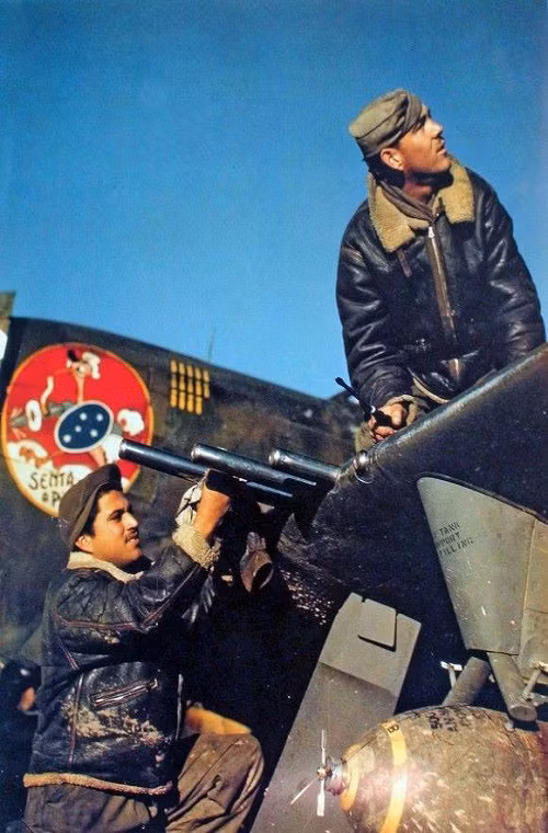 Tuy nhiên, điều khiến P-47 trở nên đáng sợ hơn không phải là bom hay rocket mà lại chính hệ thống súng máy 12,7mm mà nó được trang bị, với cụm 4 súng máy M2 12.7mm ở mỗi bên cánh cùng cơ số đạn lên đến 3.400 viên. Nó có thể được xem là vũ khí tuyệt vời nhất P-47 được trang bị dành cho cả nhiệm vụ tấn công mặt đất lẫn không chiến.