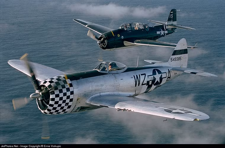 Dù có tuổi đời hơn 70 năm nhưng P-47 vẫn còn hoạt động ở vài nơi trên thế giới chủ yếu là trong các bộ sưu tập máy bay tư nhân, nó thường xuất hiện trong các buổi biểu diễn tại triển lãm quốc phòng hoặc hội chợ hàng không. Số lượng P-47 còn hoạt động hiện tại không quá 50 chiếc.