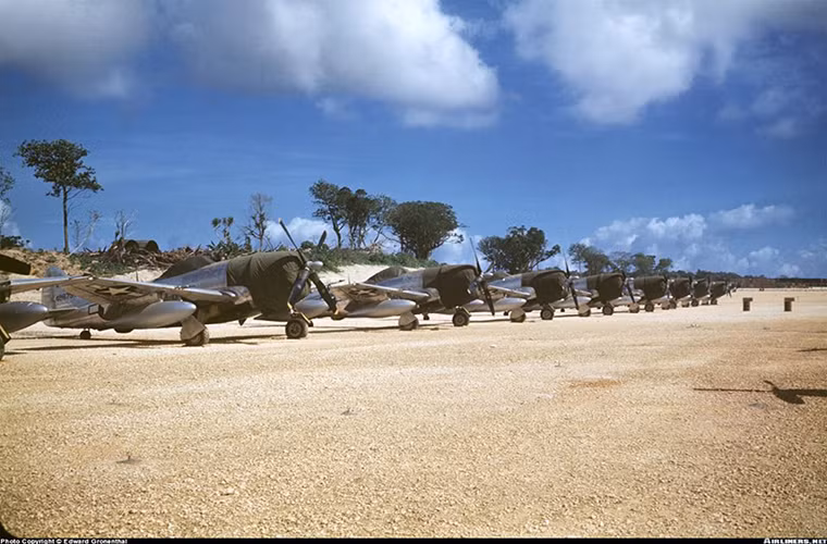 Trong suốt thời gian hoạt động của mình, P-47 cũng được phát triển thành nhiều biến thể khác nhau nhằm đáp ứng nhu cầu của chiến trường. Và một trong những lý do nữa tạo nên tên tuổi của P-47 chính là khả năng bảo vệ phi công của nó.