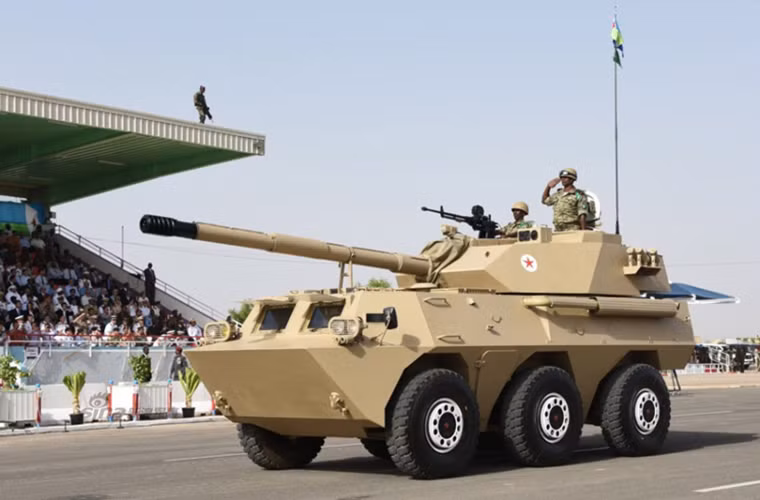 WMA301 được trang bị pháo chính chỉ 105mm hổ trợ nhiều loại đạn khác nhau kể cả đạn xuyên giáp, ngoài ra nó cũng có thể bắn tên lửa chống tăng dẫn đường qua nòng pháo chính. Tầm bắn hiệu quả của WMA301 có thể đạt 5.000m với cơ số đạn mang theo hơn 30 viên.