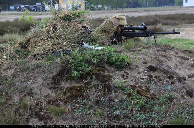 Sau khi Chiến tranh Lạnh kết thúc đến tận năm 2001 Albania mới bắt đầu thành lập các binh chủng riêng lẻ như lục quân, không quân, hải quân và lực lượng tác chiến đặc biệt.