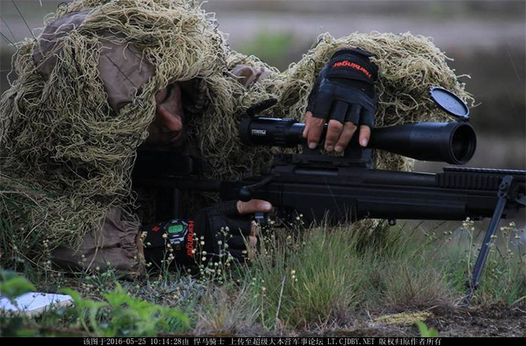Với quân số rất nhỏ, Albania chỉ có thể thành lập các lực lượng phản ứng nhanh với ngân sách quốc phòng hàng năm khoảng 110 triệu USD và được sự hổ trợ rất lớn từ các quốc gia chủ chốt của NATO.