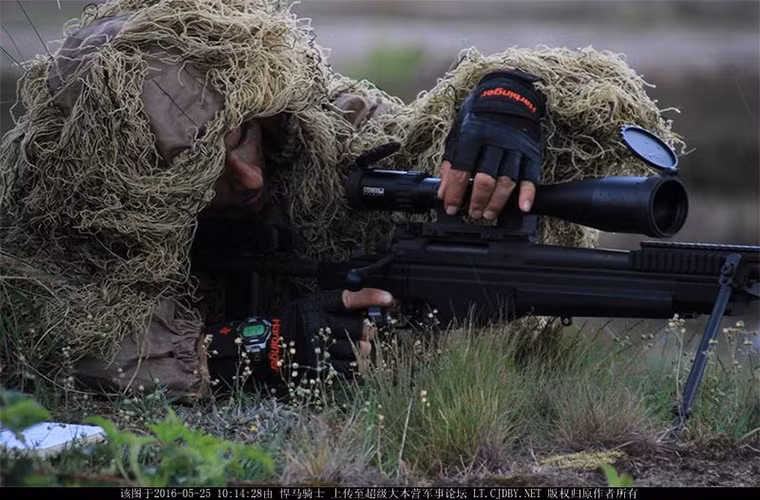 Với quân số rất nhỏ, Albania chỉ có thể thành lập các lực lượng phản ứng nhanh với ngân sách quốc phòng hàng năm khoảng 110 triệu USD và được sự hổ trợ rất lớn từ các quốc gia chủ chốt của NATO.