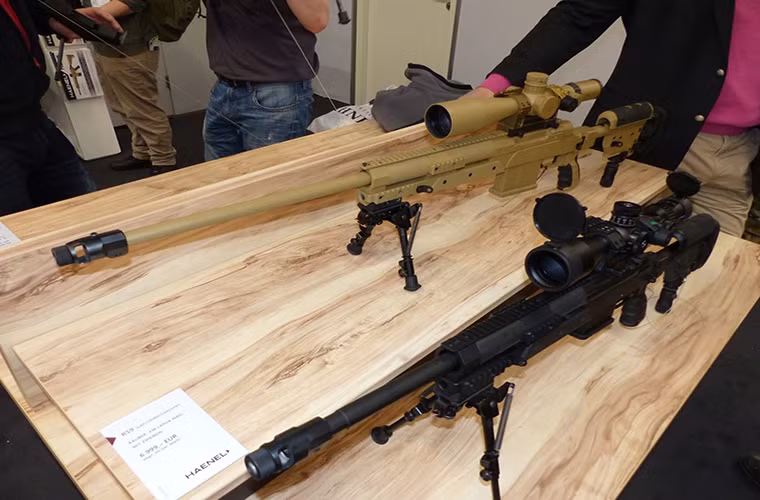 Hiện tại các thông tin chi tiết về mẫu súng trường bắn tỉa G29 vẫn chưa được CG Haenel công bố, G29 có tầm bắn tối đa khoảng 1.500m với chiều dài cơ bản 1,3m và được trang bị hộp tiếp đạn 10 viên 8,6mm theo tiêu chuẩn NATO.