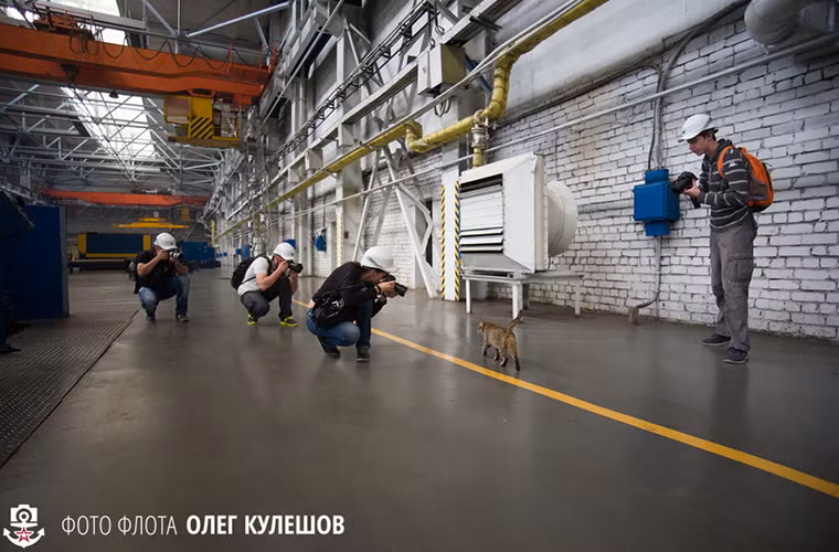 Các phóng viên tham quan nhà máy vô tình phát hiện một chú mèo sống trong một phân xưởng tại Zelenodolsk.