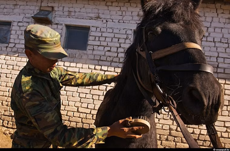 Ở đồn biên phòng này còn có cả ngựa nó thường được sử dụng để tuần tra các khu vực núi đá hiểm trở hoặc để thồ hàng hóa.