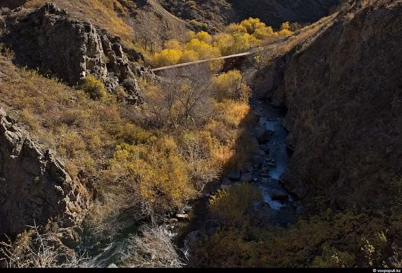 Một chiếc cầu gỗ khá sơ sài nằm giữa biên giới Kazakhstan và Trung Quốc với ranh giới là dòng suối này.