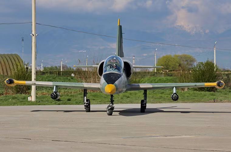 Theo thống kế vào năm 2007, Không quân Tajikistan chỉ có vỏn vẹn 800 binh sĩ và được trang bị khoảng 20 máy bay quân sự các loại đa số là trực thăng. Lực lượng máy bay chiến đấu của Tajikistan gần như không có và nước này chỉ có duy nhất 4 chiếc L-39 đã qua sử dụng được Nga viện trợ.