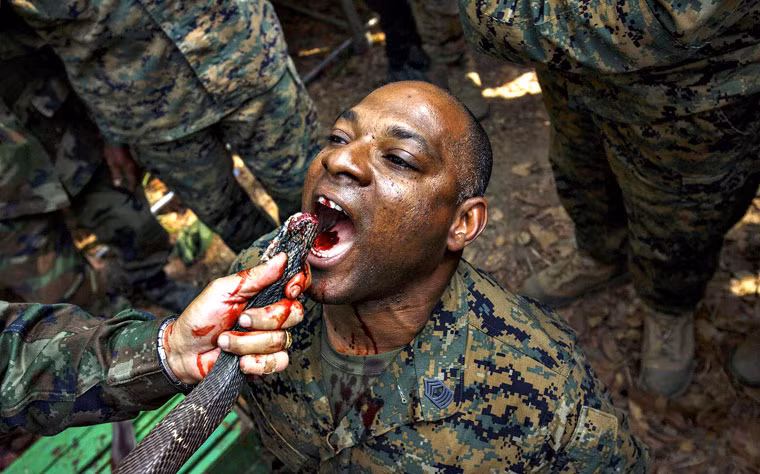 Uống máu rắn từ lâu đã trở thành hình ảnh mang tính biểu trưng của cuộc tập mang tên loài rắn độc nguy hiểm ở khu vực châu Á.