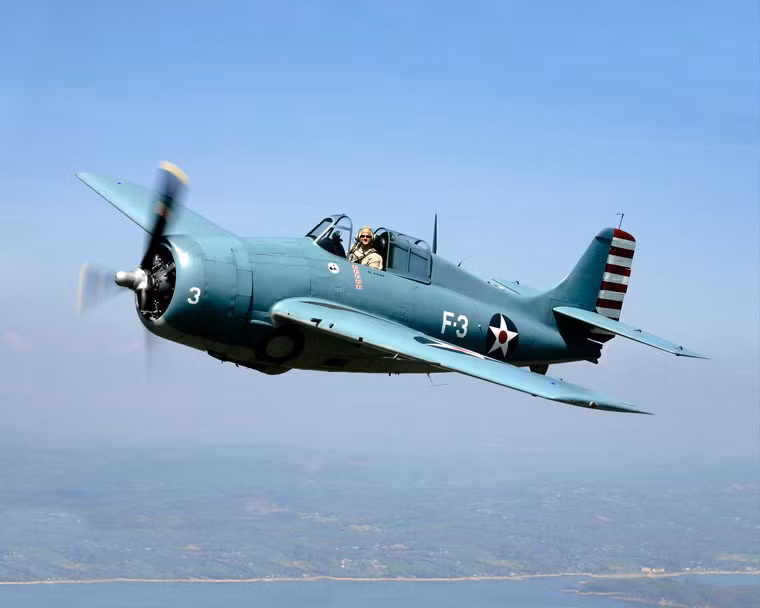  10. F4F Wildcat: Đây là loại máy bay chiến đấu hoạt động trên tàu sân bay của Mỹ và Anh từ đầu năm 1940. Tốc độ nhanh, khả năng cơ động tốt là những điểm mạnh của máy bay này. Trong Chiến tranh Thế giới thứ 2 (CTTG 2), F4F đạt tỷ lệ tiêu diệt 5,9/1. Phi công kỳ cựu Eric M. "Winkle" Brown của Anh đánh giá, Wildcat là máy bay chiến đấu hải quân xuất sắc nhất đầu Thế chiến II.