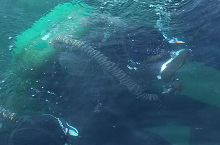 Bình dưỡng khí IDA71 cho phép người nhái Nga có thể hoạt động liên tục 8 giờ dưới nước.