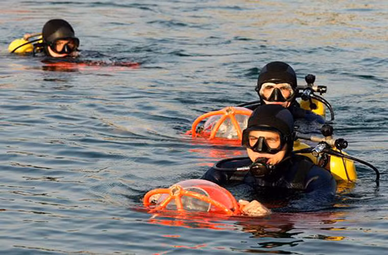 Mỗi đơn vị người nhái Nga có quân số từ 50-60 người và ở mỗi hạm đội có từ 120-200 người nhái. Để phân biệt giữa các đơn vị này, Hải quân Nga cũng sử dụng các tên gọi khác nhau tuy nhiên thông tin về lực lượng này đều tuyệt mật.