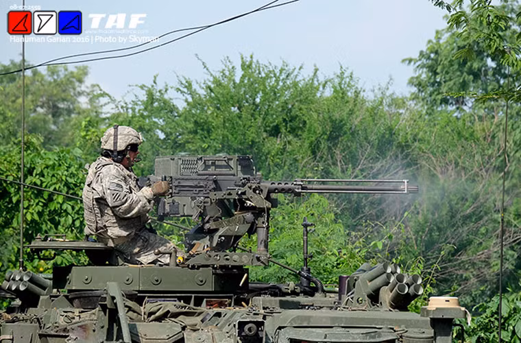 Hệ thống vũ khí trên các biến thể Stryker của Mỹ cũng khá đa dạng như pháo 105mm M68A2 hoặc súng máy hạng nặng M2 cỡ nòng .50, súng phóng lựu hoặc MK19 40mm. Một số biến thể còn được trang bị hệ thống vũ khí điều khiển từ xa RWS với súng máy 12.7mm.