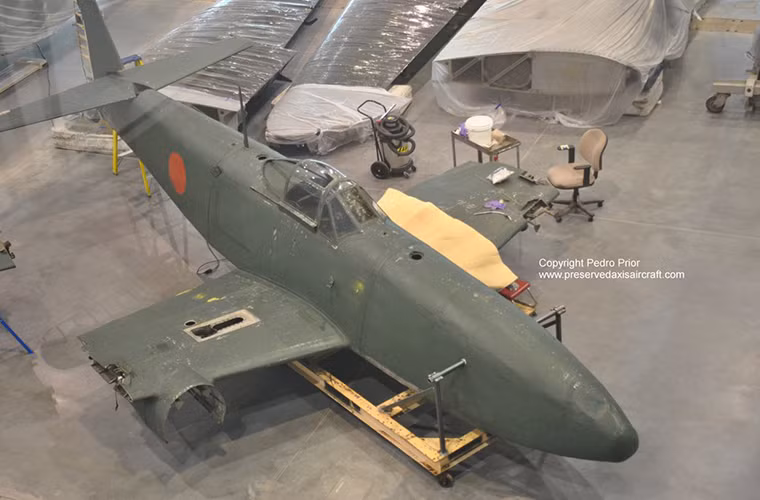 Có một điều khá thú vị là trước khi Chiến tranh Thế giới thứ II kết thúc Nhật Bản đã phát triển khá nhiều biến thể của Nakajima Kikka gồm biến thể hai chỗ ngồi dành cho huấn luyện, biến thể trinh sát tiêm kích và biến thể tiêm kích với hệ thống vũ khí chính gồm 2 pháo tự động Type 5 30mm cùng 50 viên đạn. Trong ảnh là nguyên mẫu còn lại của Nakajima Kikka vẫn được lưu giữ tại Bảo tàng Hàng không và Không quân Quốc gia Mỹ.