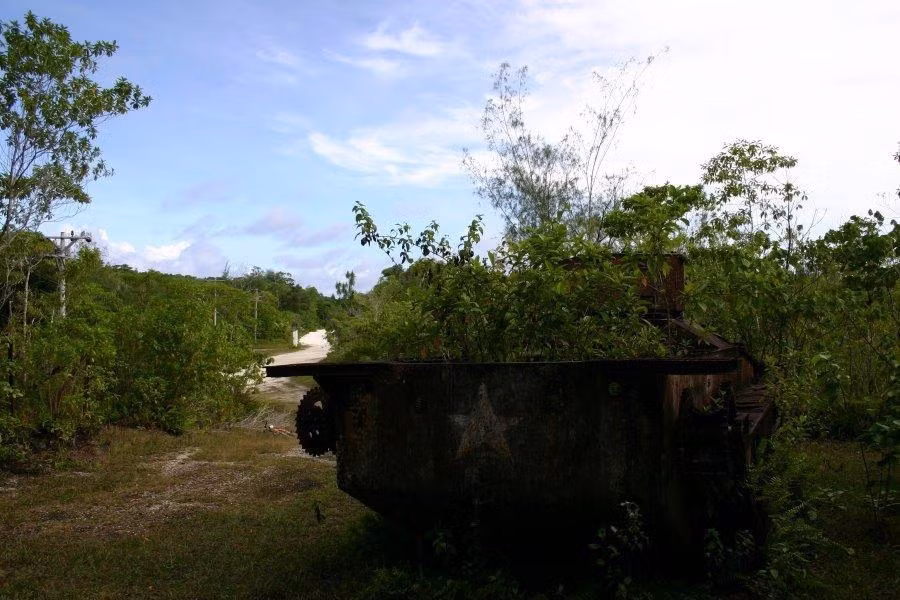 Thùng xe đã bị cây bao phủ (Nguồn: Sina).