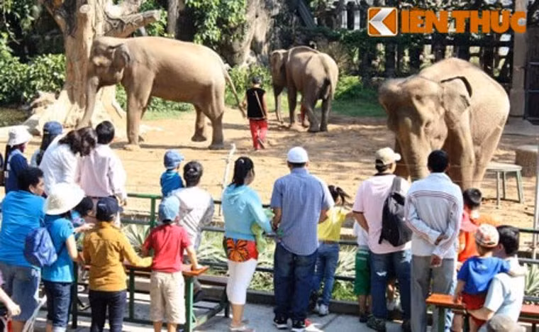 Trẻ em hào hứng tham quan vườn bách thú tại Thảo Cầm Viên Sài Gòn.