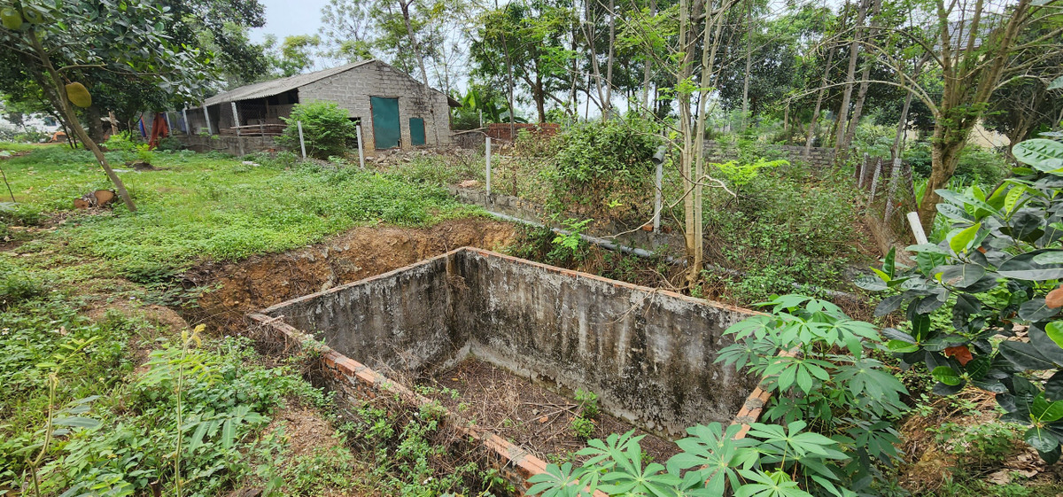 Dự án cũng không giải quyết công ăn việc làm cho người địa phương khi tình trạng sản xuất, kinh doanh "bất động".