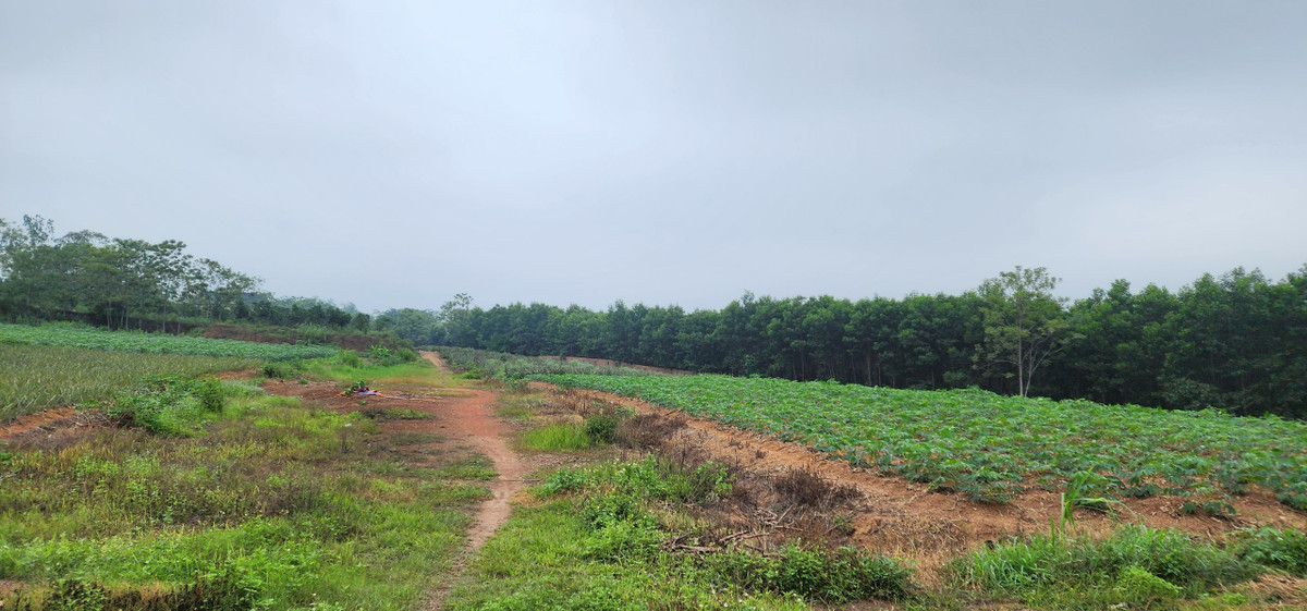 Mục tiêu của dự án là mang lại hiệu quả đồng bộ cả về kinh tế và xã hội, góp phần tăng thu cho ngân sách nhà nước, tạo việc làm cho người lao động, chuyển dịch cơ cấu kinh tế huyện và tăng thu nhập cho chủ dự án. Tuy nhiên, theo phản ánh của người dân địa phương, khu đất đã bỏ hoang nhiều năm và không thực hiện đúng chủ trương đầu tư về giống cây trồng, cây dược liệu và du lịch sinh thái.