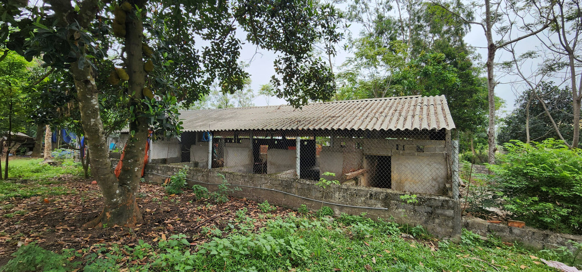 Tìm hiểu của PV Báo Tri thức và Cuộc sống, ngày 11/9/2006, UBND huyện Ba Vì (Hà Nội) có Quyết định số 3641 về việc phê duyệt dự án trang trại trồng, chế biến sản phẩm cây ăn quả, cây dược liệu kết hợp du lịch sinh thái cho ông Cao Thành Lê (trú tại phường Yên Sở, quận Hoàng Mai) với tổng diện tích 46.820m2 đất nông, lâm nghiệp.