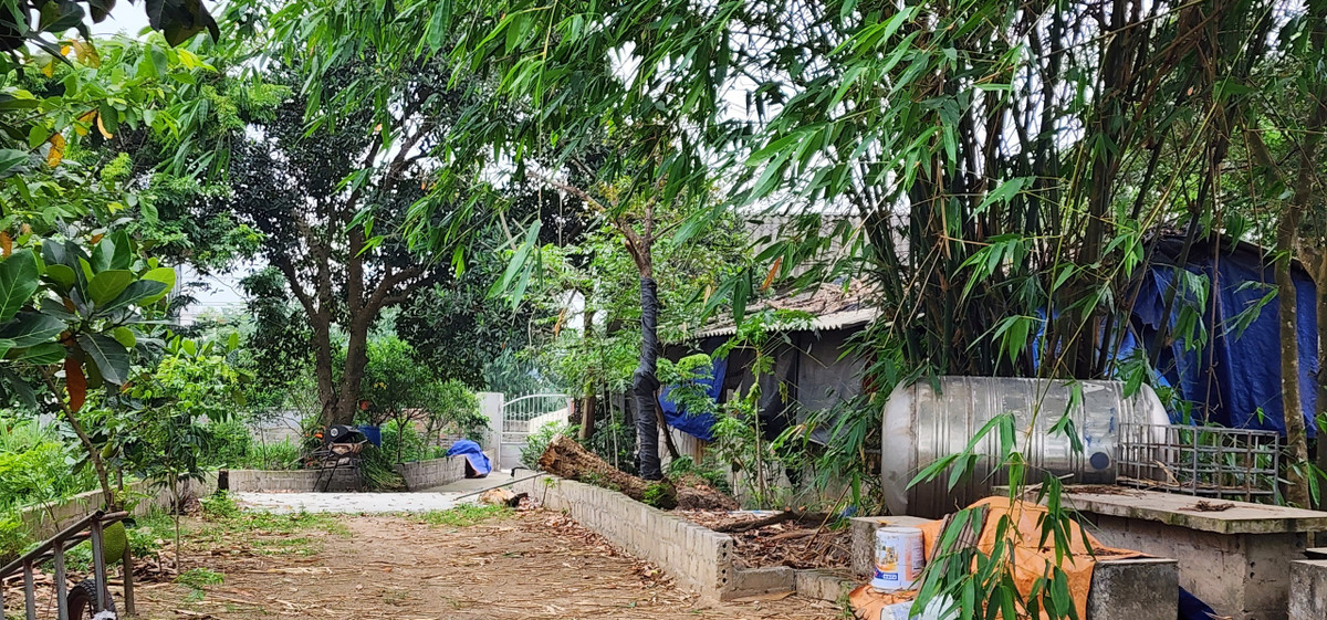 Một phần diện tích dự án được bê tông hóa, xây nhà cấp 4.