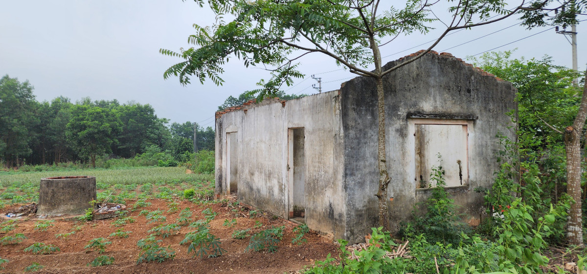 Căn nhà được chủ đầu tư xây dựng để trông nom dự án cũng đã vào tình trạng bỏ hoang, đổ nát.