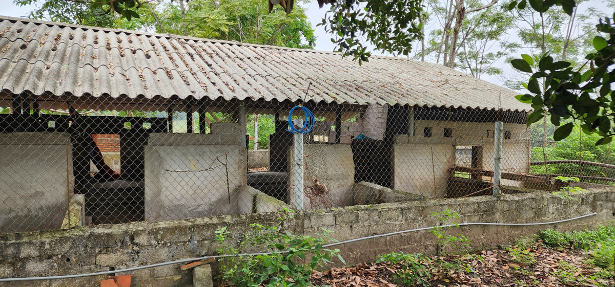 Hiện dự án không trồng cây dược liệu, không xây dựng hạ tầng kỹ thuật du lịch. Thay vào đó là một chuồng nuôi gia súc tạm bợ bỏ hoang và chỉ trồng lác đác một số cây ăn quả không giá trị.