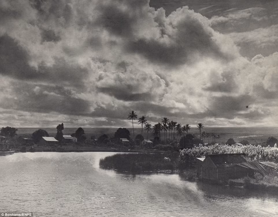 Anh Herbert Smith, một người bán vải ở Manchester, sống ở quần đảo Hawaii vào những năm 1890 đã chụp lại cuộc sống thường nhật của người dân nơi đây. Ảnh: Những cây cọ và các túp lều tranh ở vịnh Hilo, đảo Hawaii cách đây 120 năm. Ảnh Daily Mail