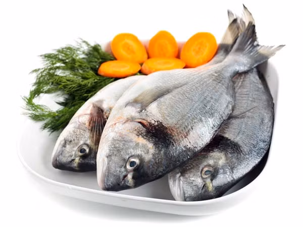 Hải sản. Thành phần selenium dồi dào trong các loài động vật có vỏ như hàu, tôm hùm, cua và sò kích thích các bạch cầu sản xuất ra các cytokine – những protein miễn dịch giúp đẩy lùi virus cúm. Cá hồi, cá thu và các trích rất giàu omega-3 có tác dụng làm giảm viêm, làm tăng thông khí và bảo vệ phổi khỏi chứng cảm lạnh và các nhiễm trùng đường hô hấp.