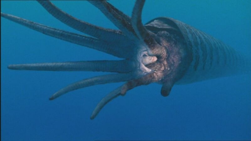 Đội ngũ sản xuất hi vọng rằng bộ phim sẽ giúp khán giả có cái nhìn sâu hơn về cuộc sống tiền sử trên Trái Đất, đồng thời nhấn mạnh sự quan trọng của việc bảo vệ các sinh vật hiện đang sống trên hành tinh ngày nay.