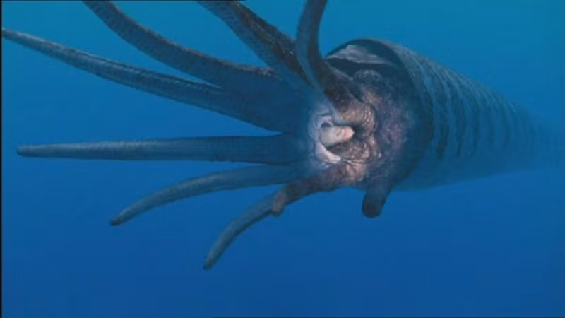 Đội ngũ sản xuất hi vọng rằng bộ phim sẽ giúp khán giả có cái nhìn sâu hơn về cuộc sống tiền sử trên Trái Đất, đồng thời nhấn mạnh sự quan trọng của việc bảo vệ các sinh vật hiện đang sống trên hành tinh ngày nay.