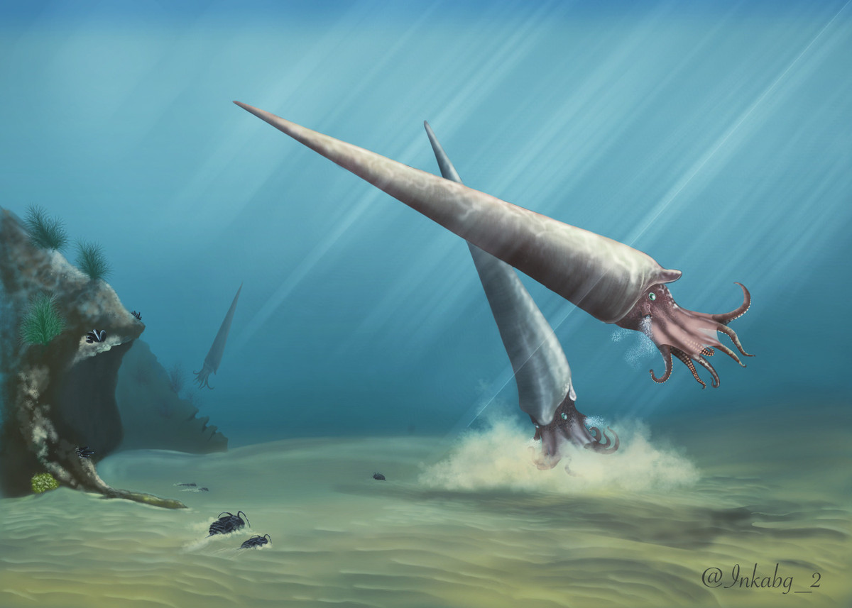 Loài mực khổng lồ này từng tồn tại cách đây khoảng 470 triệu năm trước và đã tuyệt chủng sau khoảng 30 triệu năm. "Hậu duệ hiện đại của chúng là ốc anh vũ, nhỏ hơn và không gây hại như Cameroceras," Fletcher chia sẻ.