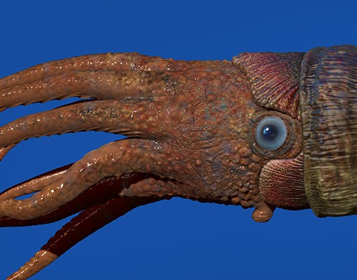 Để tạo ra hiệu ứng hình ảnh phù hợp với lịch sử tự nhiên, chương trình đã sử dụng một hệ thống quay phim độc đáo gọi là quay phim du hành vượt thời gian.