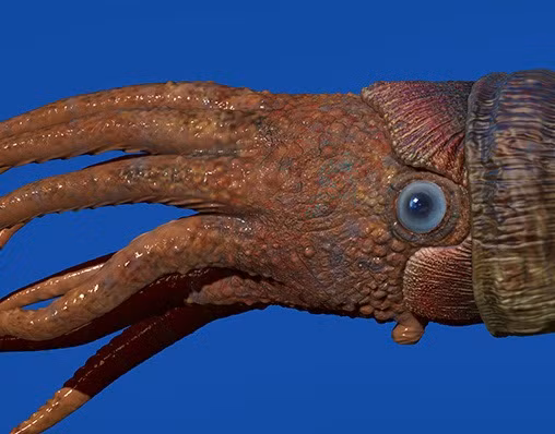 Để tạo ra hiệu ứng hình ảnh phù hợp với lịch sử tự nhiên, chương trình đã sử dụng một hệ thống quay phim độc đáo gọi là quay phim du hành vượt thời gian.