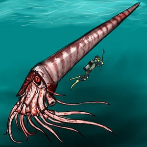 Video trong chương trình đã thể hiện cách Cameroceras di chuyển trên đáy biển để săn mồi, với chiếc xúc tu dài thò qua kẽ đá để bắt mồi.