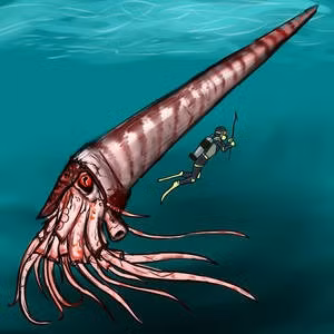 Video trong chương trình đã thể hiện cách Cameroceras di chuyển trên đáy biển để săn mồi, với chiếc xúc tu dài thò qua kẽ đá để bắt mồi.